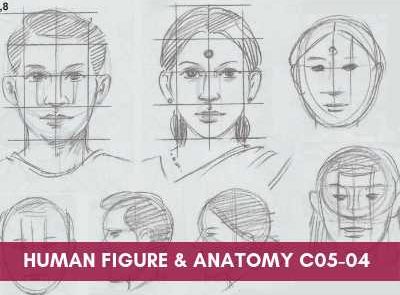 all courses - Human Figure and Anatomy C05 04 400x295 - All Courses